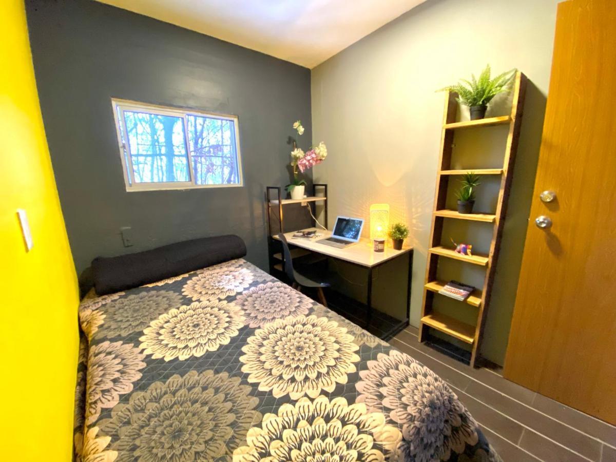 Roomies Hostel - Santa Maria La Ribera Μεξικό Εξωτερικό φωτογραφία