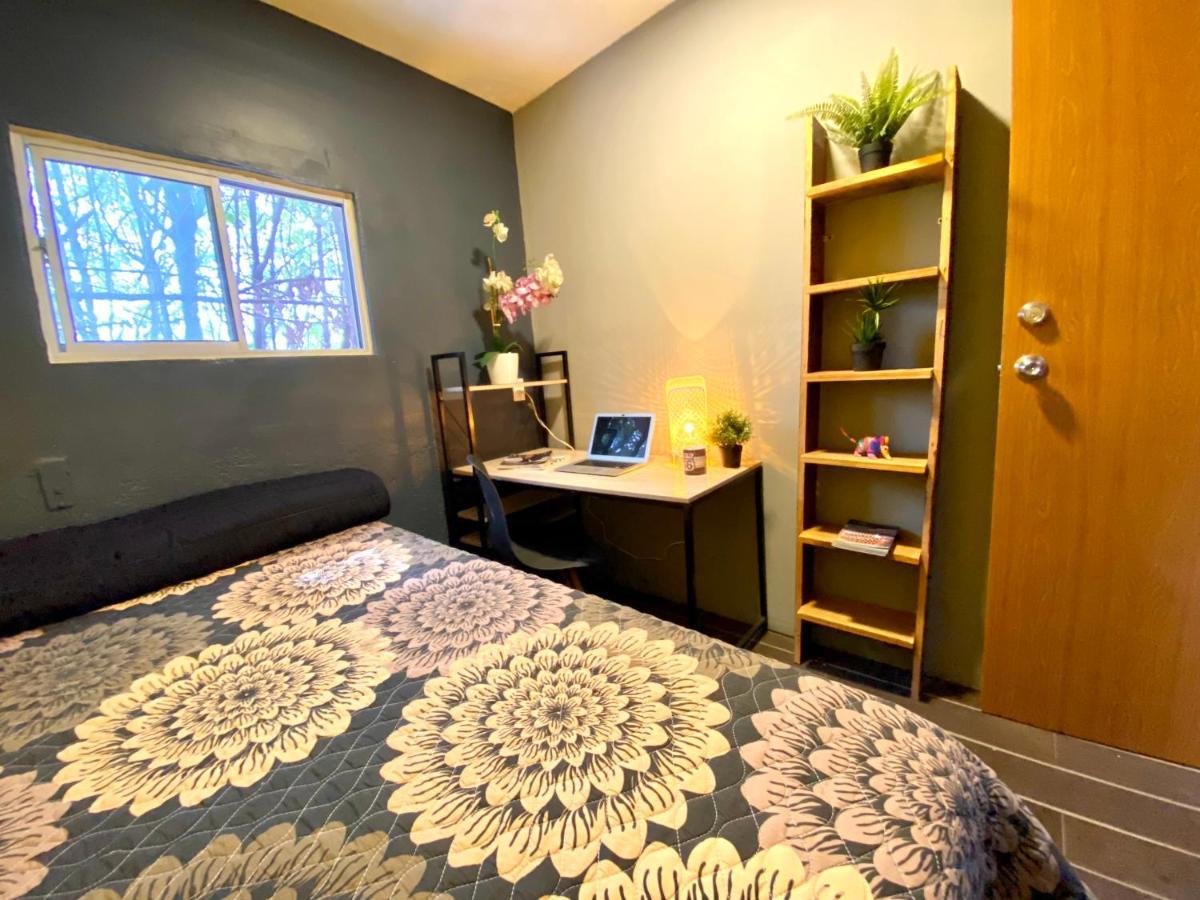 Roomies Hostel - Santa Maria La Ribera Μεξικό Εξωτερικό φωτογραφία
